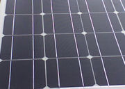 biomaterial backsheet