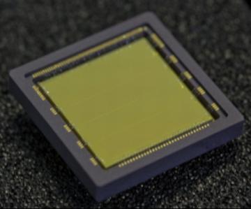 Fabricated and packaged