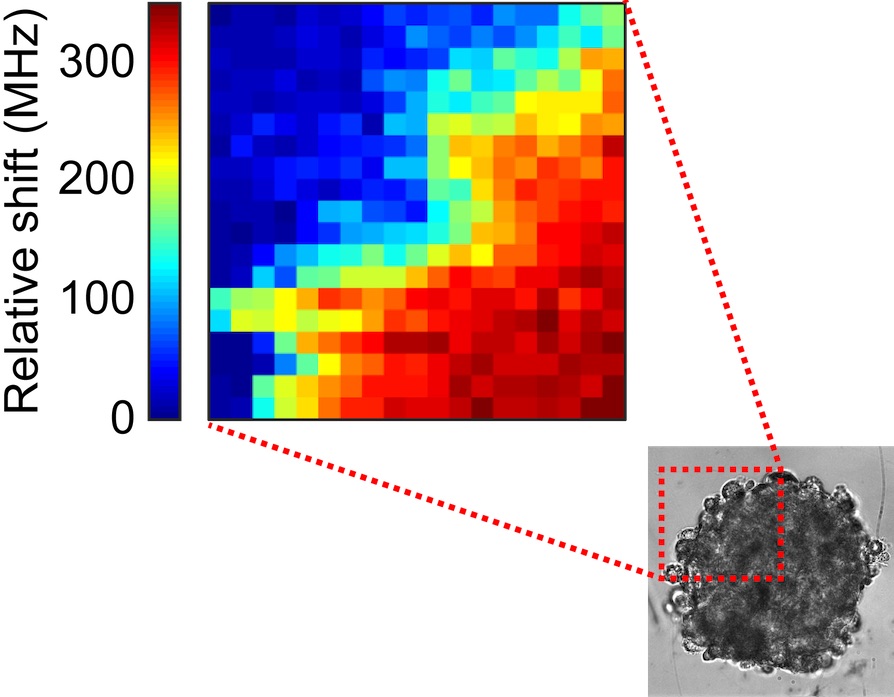 Physical properties: one clue to anti-cancer efficacy