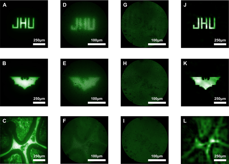 Imaging results from diverse sources, detailed in the study. Click for info. 