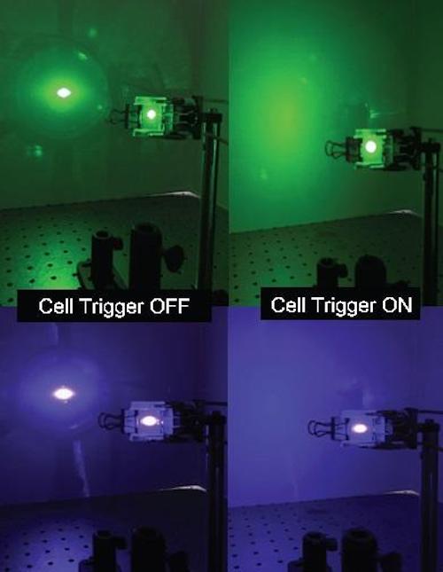 Pilot protection: liquid crystals block laser light