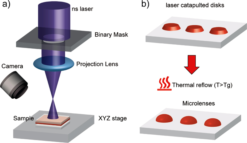 Practical implementation and operational principle of laser catapulting. Practical implementation and operational principle of laser catapulting.