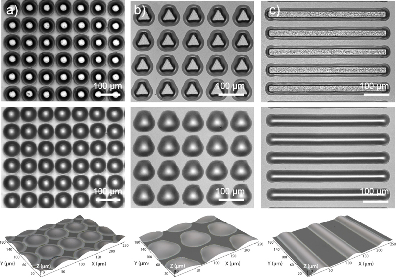 Preparation of microlenses using laser catapulting.