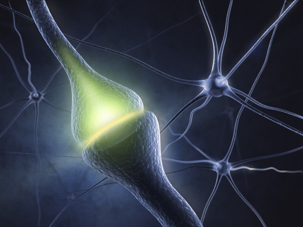 Light controls neurons