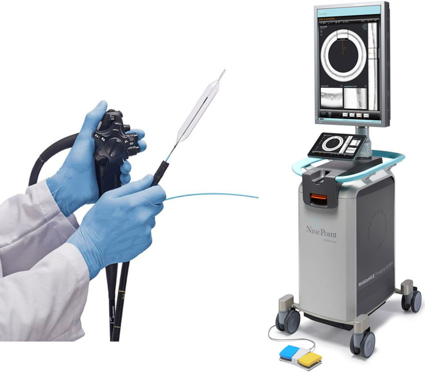 Imaging beneath the surface: NvisionVLE