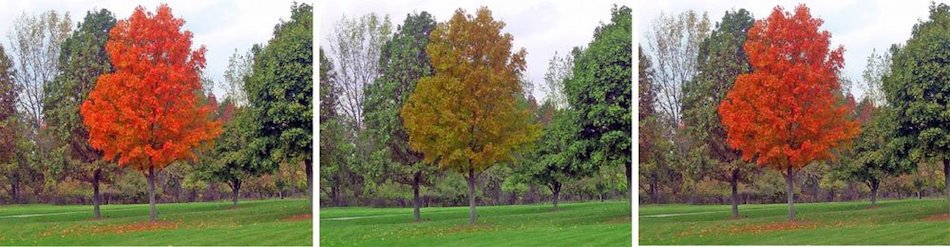 True colors: metasurface corrections