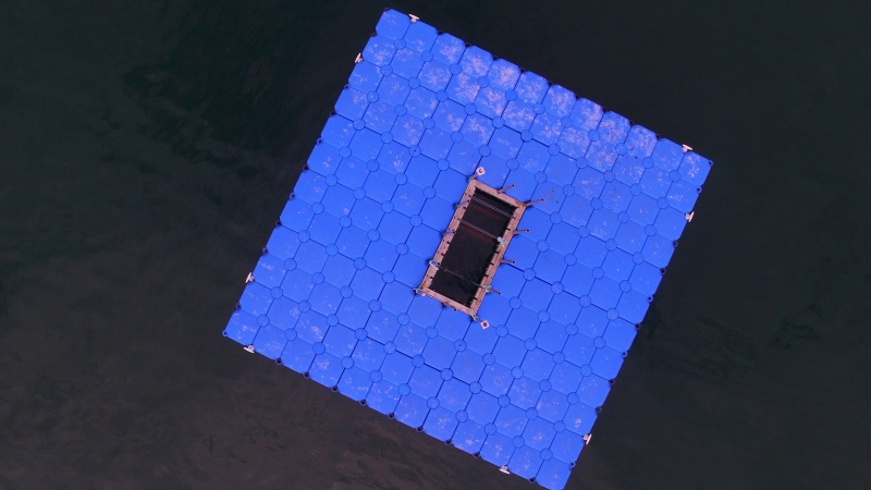 Shipshape: Laser-treated samples in the field test. 