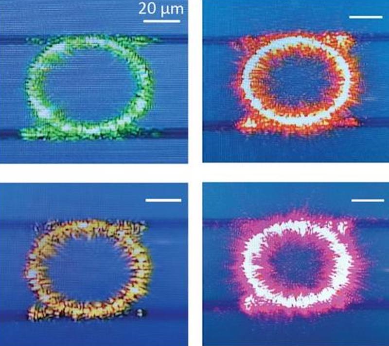 Chip of many colors: visible outputs