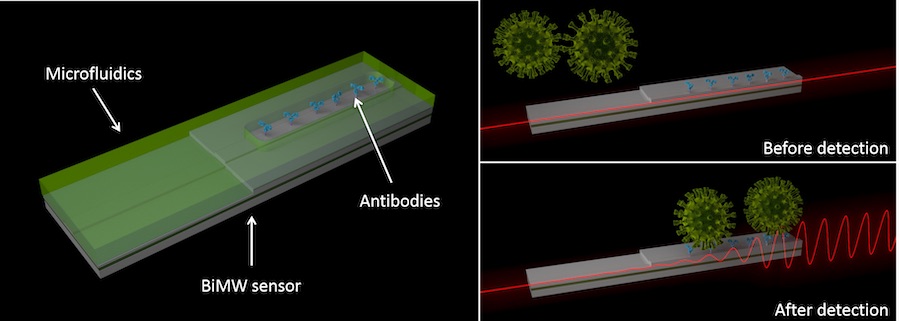 Optical test for Covid-19