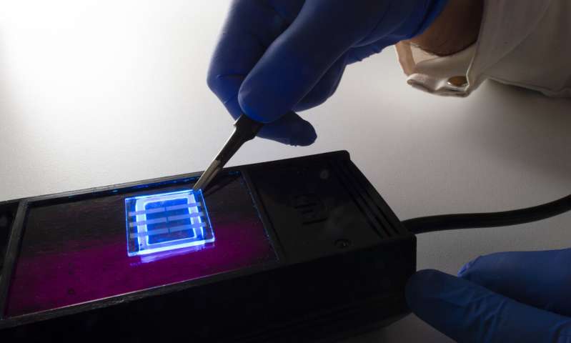 Hair net: Small, cheap flexible OLED displays suit Internet of Things devices.