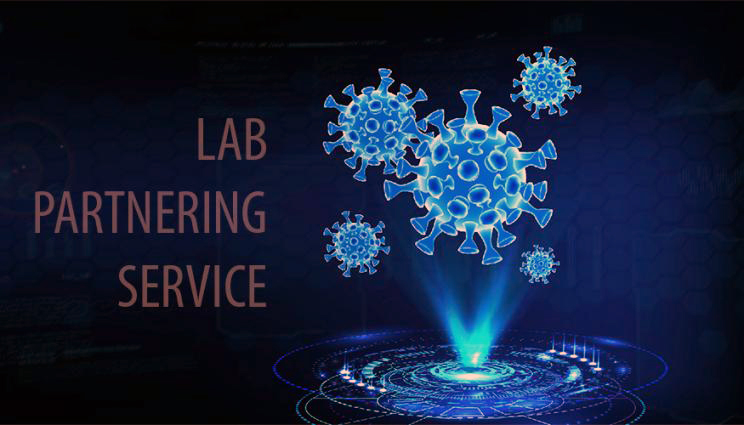 LPS Covid-19 portal: connect quickly, get information.