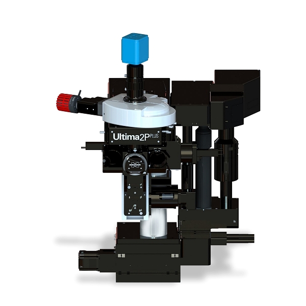 Multiphoton imaging for optogenetics