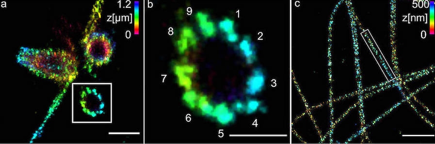 Expanded view: protein structures Expanded view: protein structures