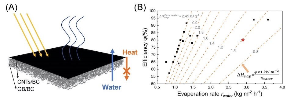 Light work: water purification