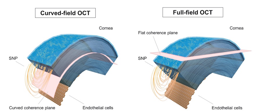 Curved image planes and larger field of view