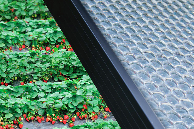 The translucent panels can act as both greenhouse covers and power sources.