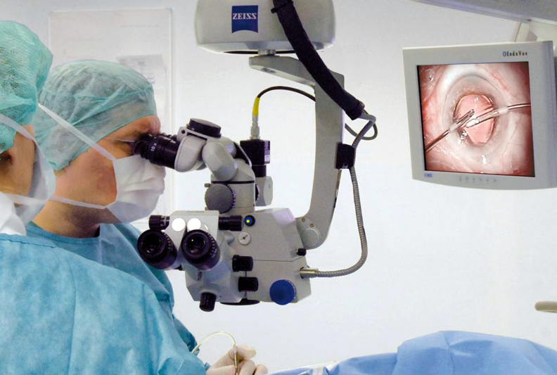 Carl Zeiss Meditec's business 