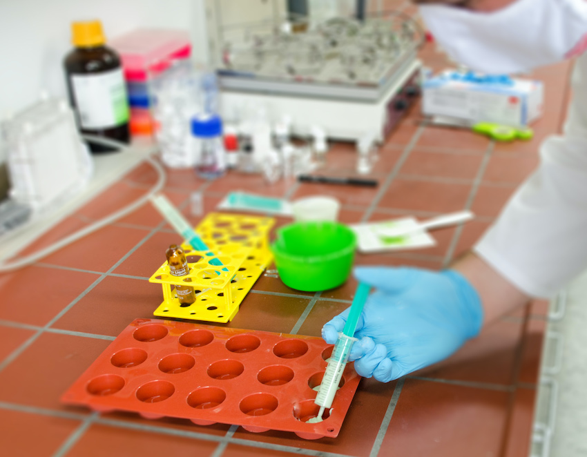 Down to the bone: PMMA cement