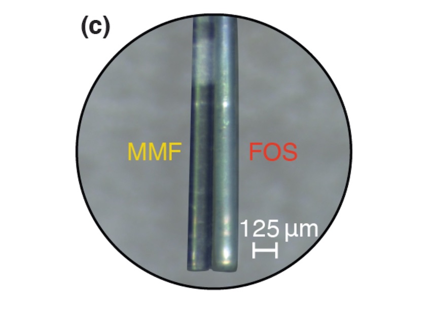 Dual action: two modalities