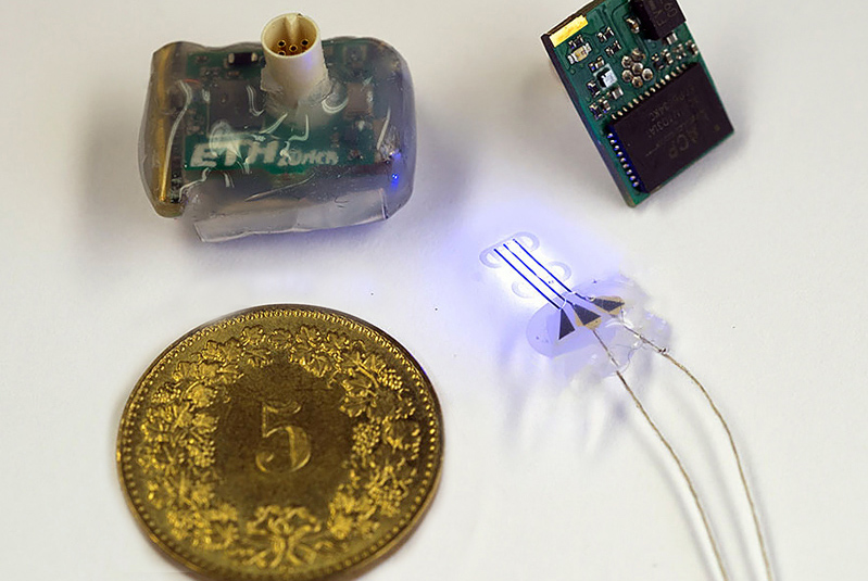 LED control unit (L) and LED implants (R) form new neurotechnology platform. 