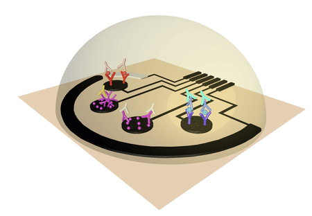 Sensor contains regions that each detect a different indicator of Covid-19 infection. 