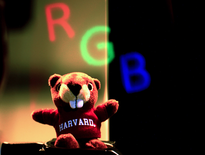 AR imaging result using the full-color near-eye fiber scanning display.