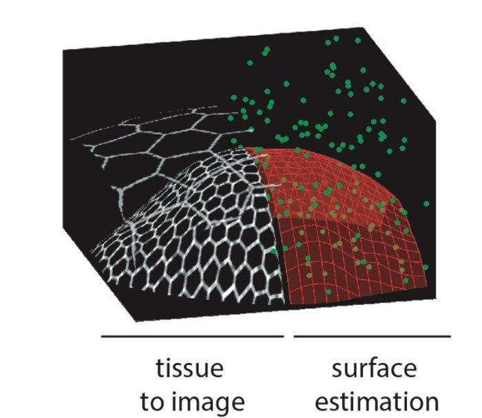 Use less light, do less harm