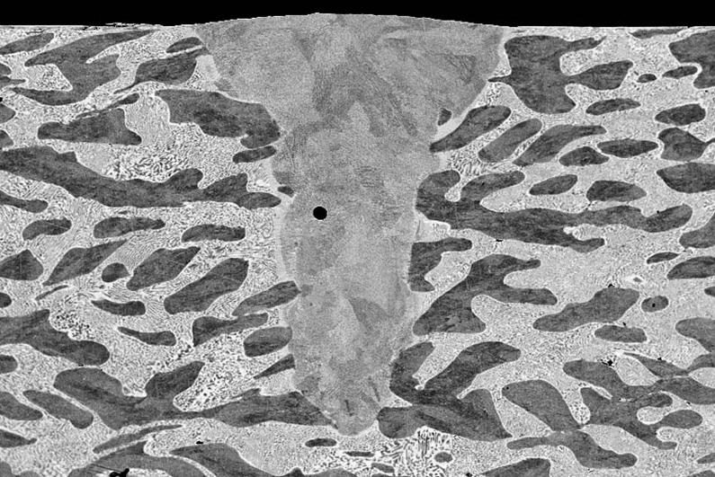 SEM image of a single laser scan cross-section of a nickel and zinc alloy. SEM image of a single laser scan cross-section of a nickel and zinc alloy.