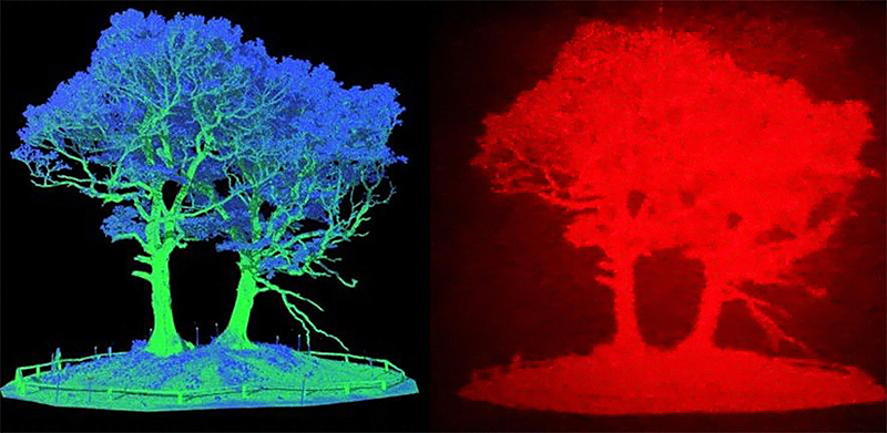 Scanned LiDAR data are converted into 3D holographic objects.