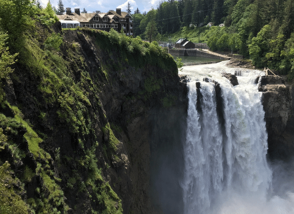 Motion picture: recreated movement