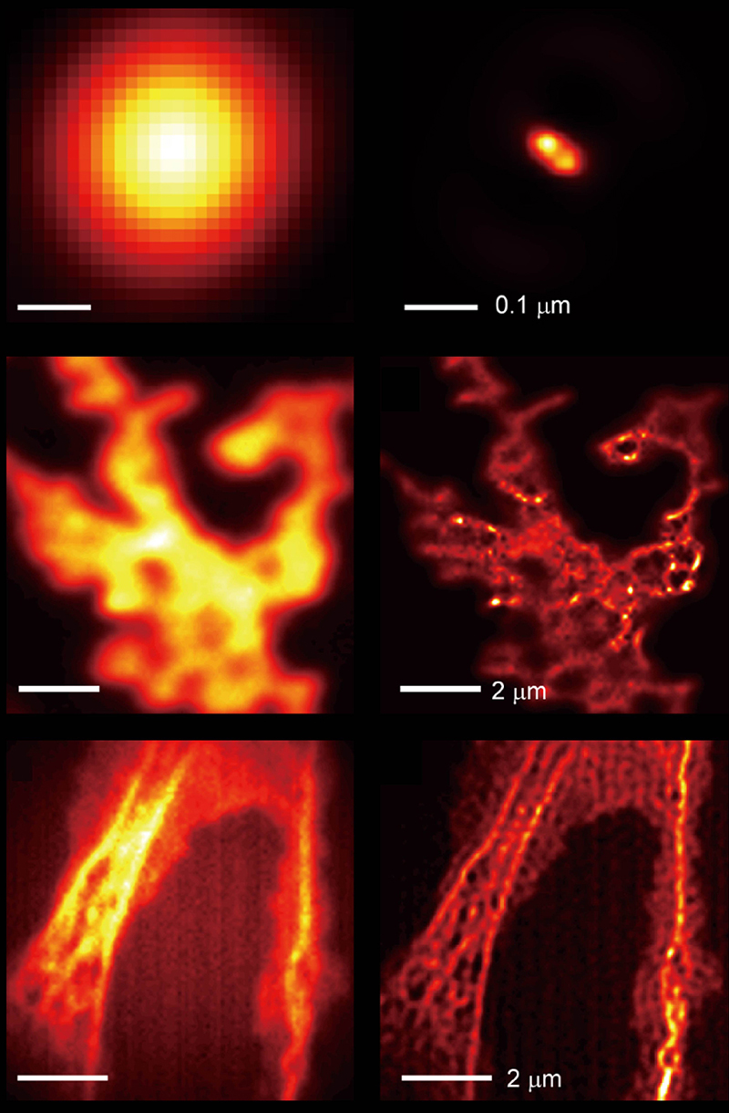 Microscopy with regular optic (l) and coated with metamaterial (r). Microscopy with regular optic (l) and coated with metamaterial (r).