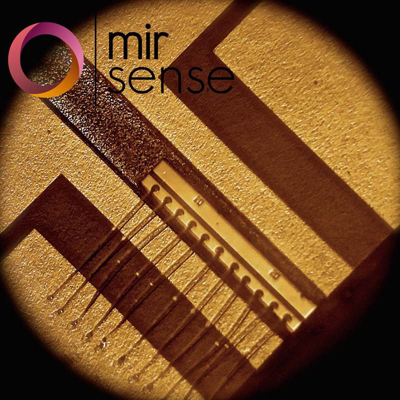 Microscope image of a QCL ridge.