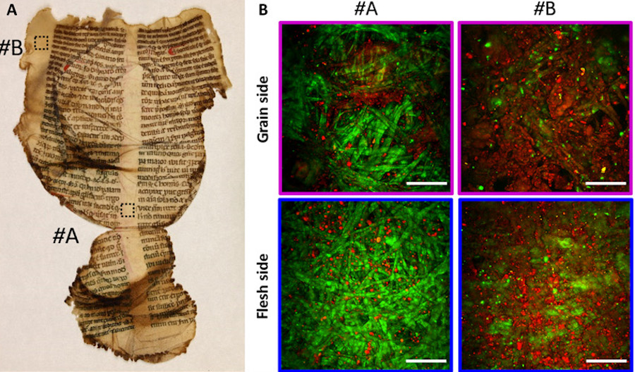 Historical damage: monitoring deterioriation Historical damage: monitoring deterioriation