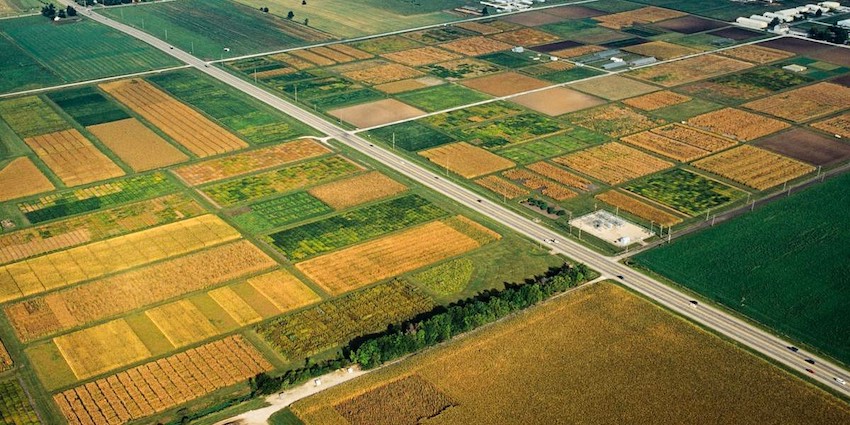 Overhead perspective: nitrogen data