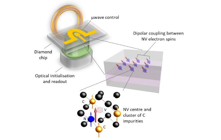 Diamond QPU architecture.