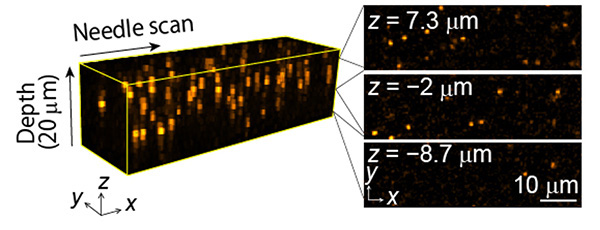 Video-rate acquisition of 1 µm fluorescence beads in water. 