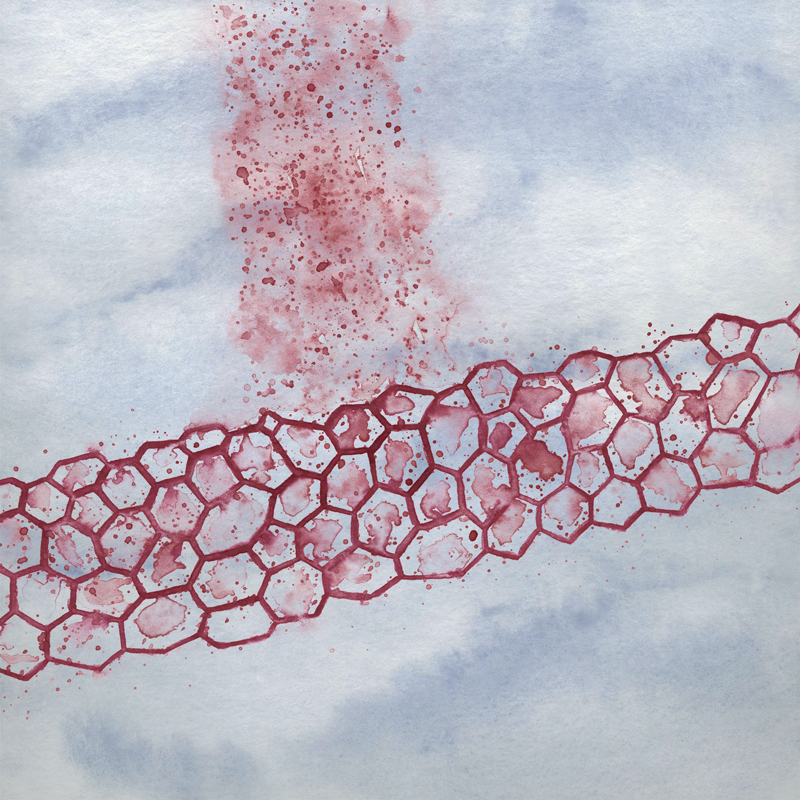 AMOLF's thin silicon membrane absorbs 65% of sunlight. 