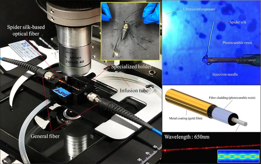 Spin out: sensor from silk