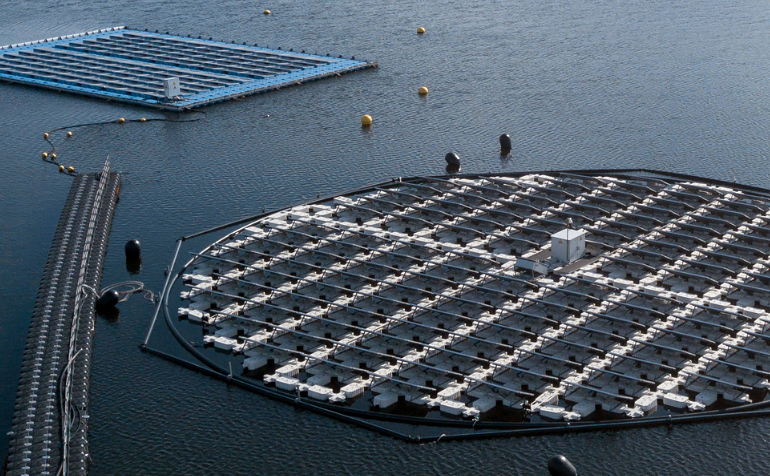 Floating solar renewable electricity platform launched at the start of January. Floating solar renewable electricity platform launched at the start of January.