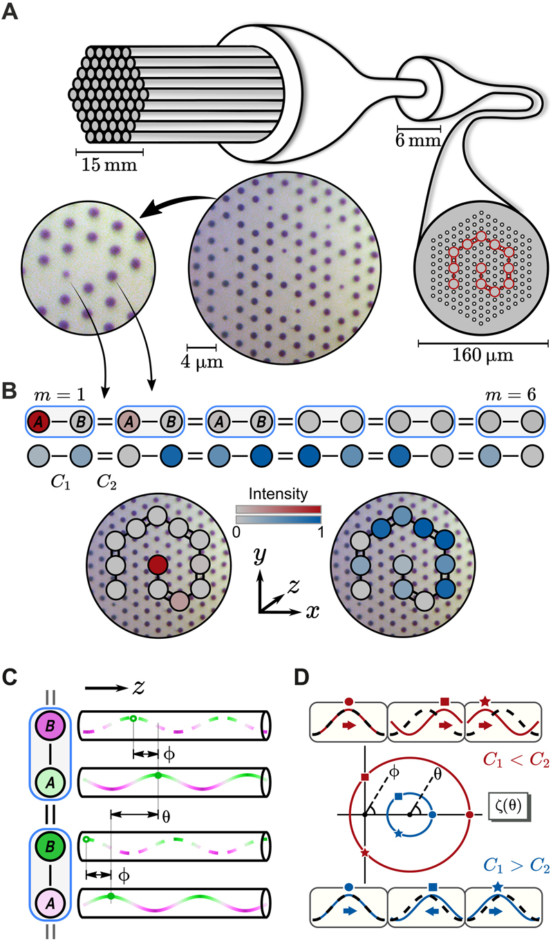 Topological states: glass capillaries are formed into canes and then fiber. Click to expand.