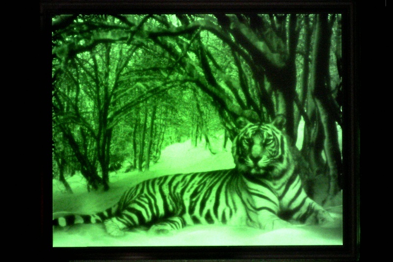 High-brightness OLED microdisplay High-brightness OLED microdisplay