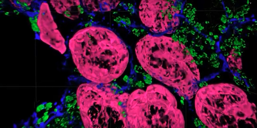 Expanded horizons: clinical benefits