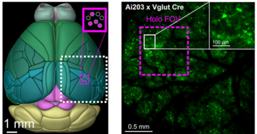 One thing leads to another: neural networks One thing leads to another: neural networks