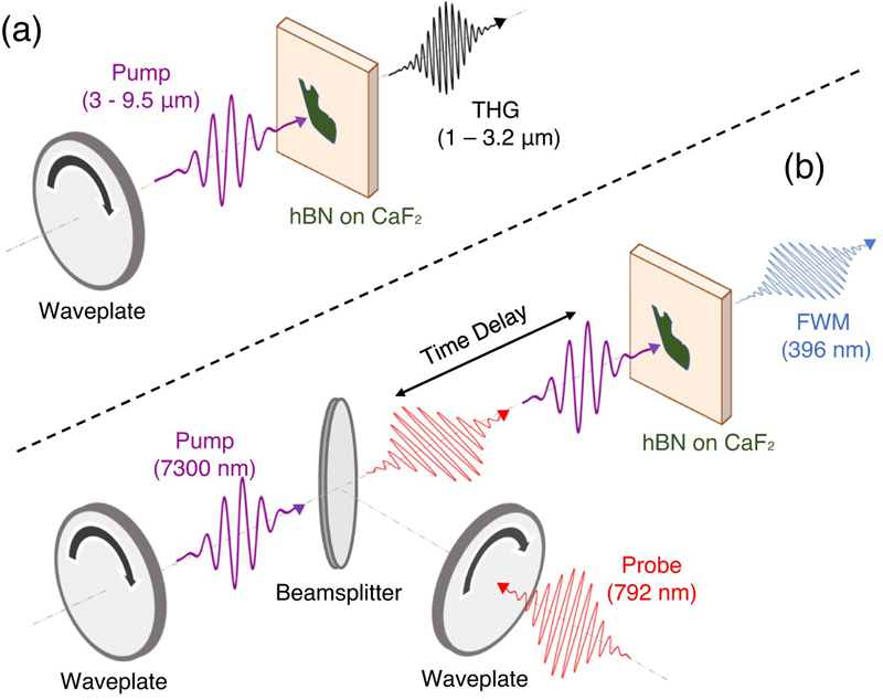Setup for two experiments demonstrating phonon-enhanced nonlinearity in hB. Click for info.
