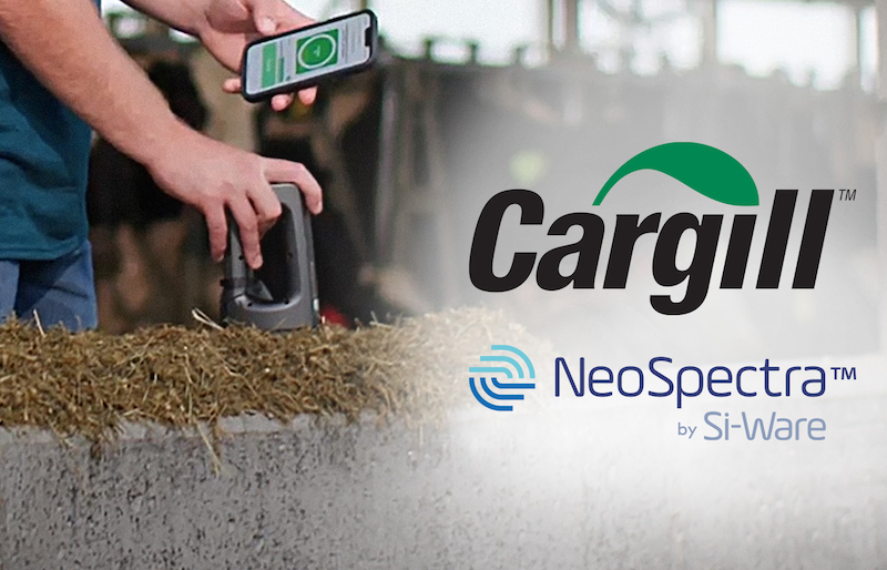 Optical analysis of dairy feed