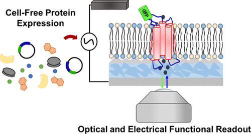 Optical and electrical function readout. 