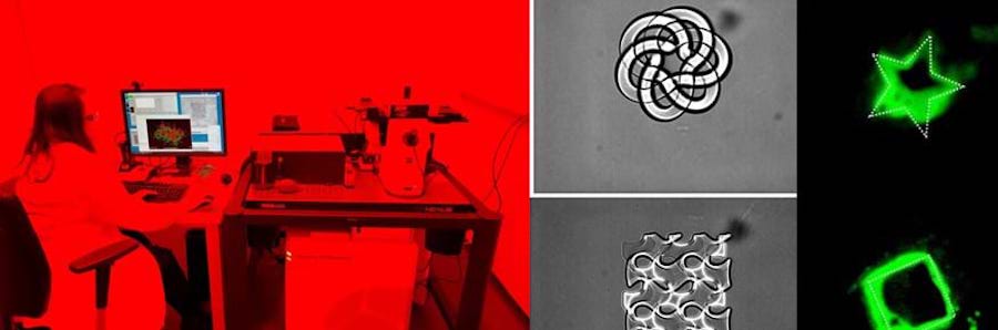 Fine print: multiphoton fabrication 