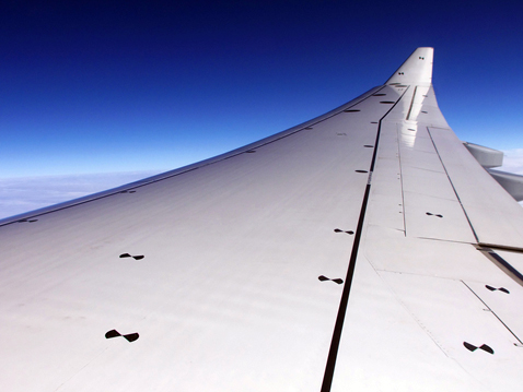 Wing markings enable measuring distances with just one camera.