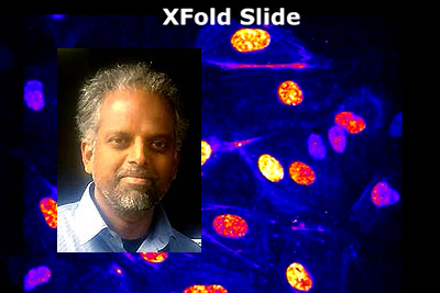 Award winner: Xfold's Nagarajan Subramaniyam.