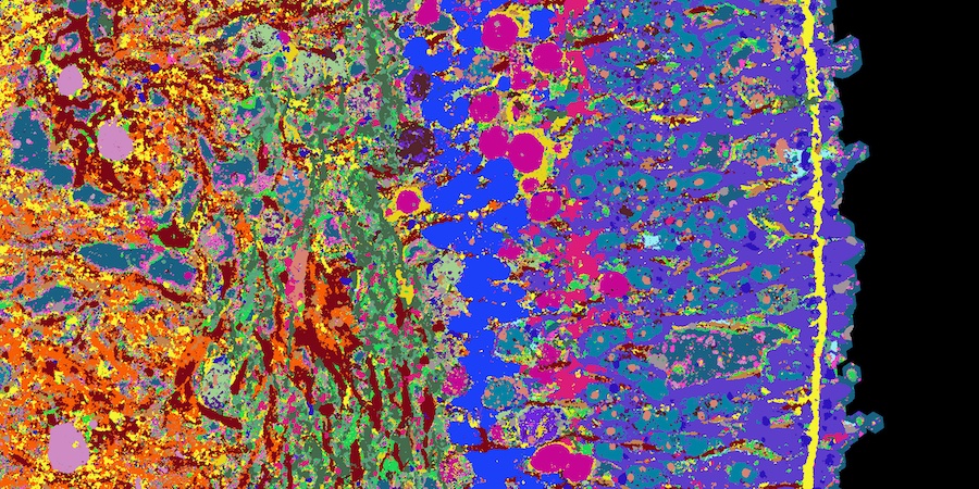 Eyes front: 4i mapping